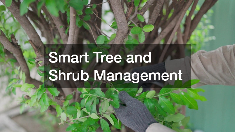 Smart Tree and Shrub Management