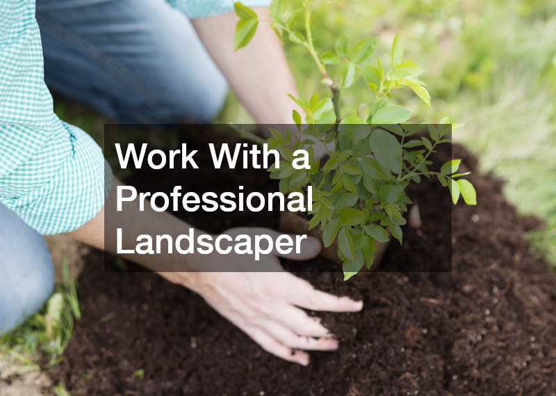 Work With a Professional Landscaper