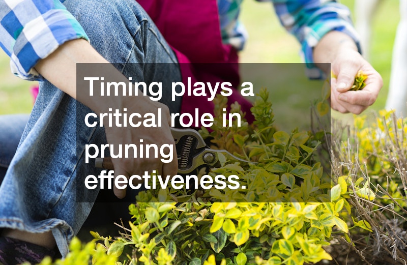 Timing plays a critical role in pruning effectiveness.