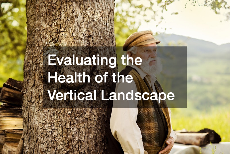 Evaluating the Health of the Vertical Landscape