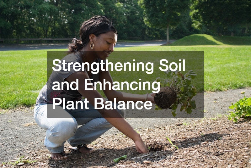 Strengthening Soil and Enhancing Plant Balance