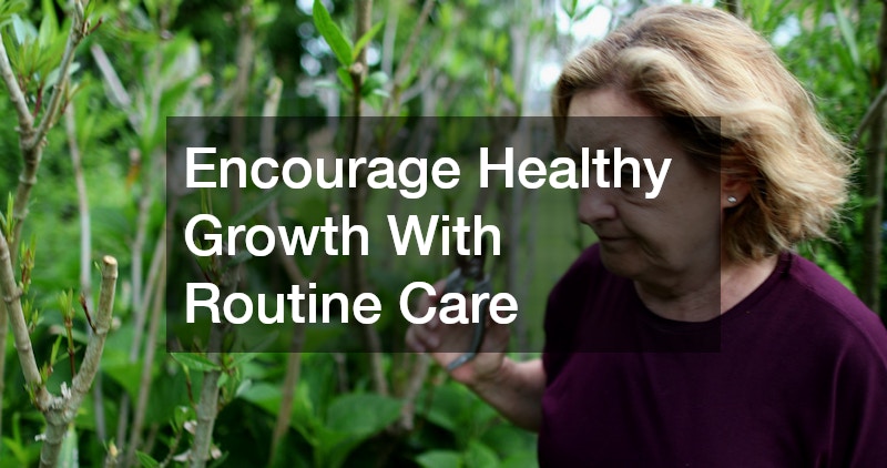 Encourage Healthy Growth With Routine Care