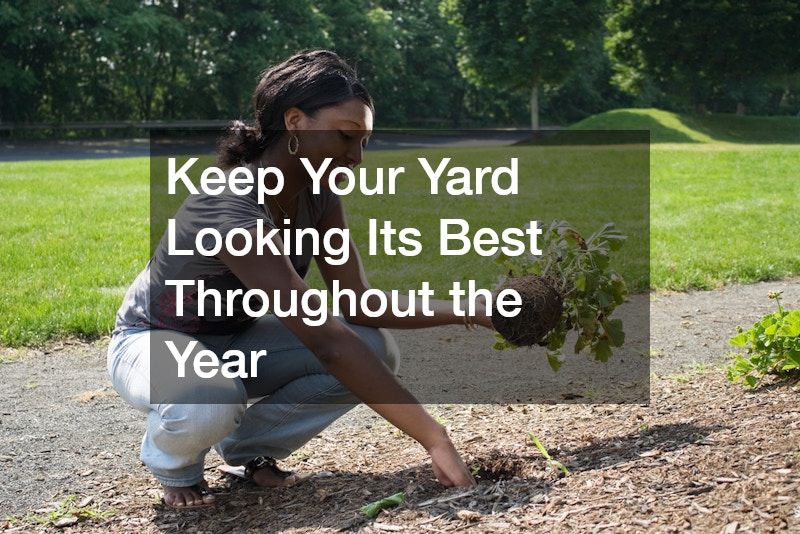 Keep Your Yard Looking Its Best Throughout the Year