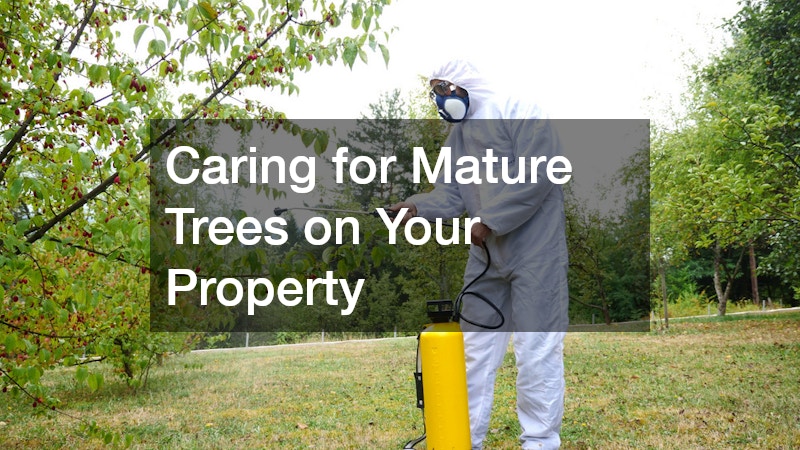 Caring for Mature Trees on Your Property