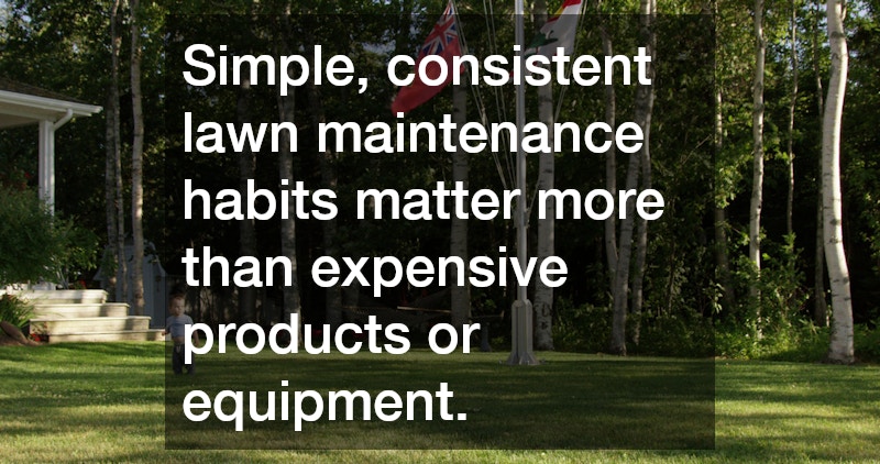 Simple, consistent lawn maintenance habits matter more than expensive products or equipment.