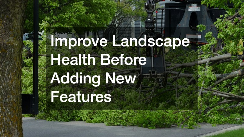 Improve Landscape Health Before Adding New Features