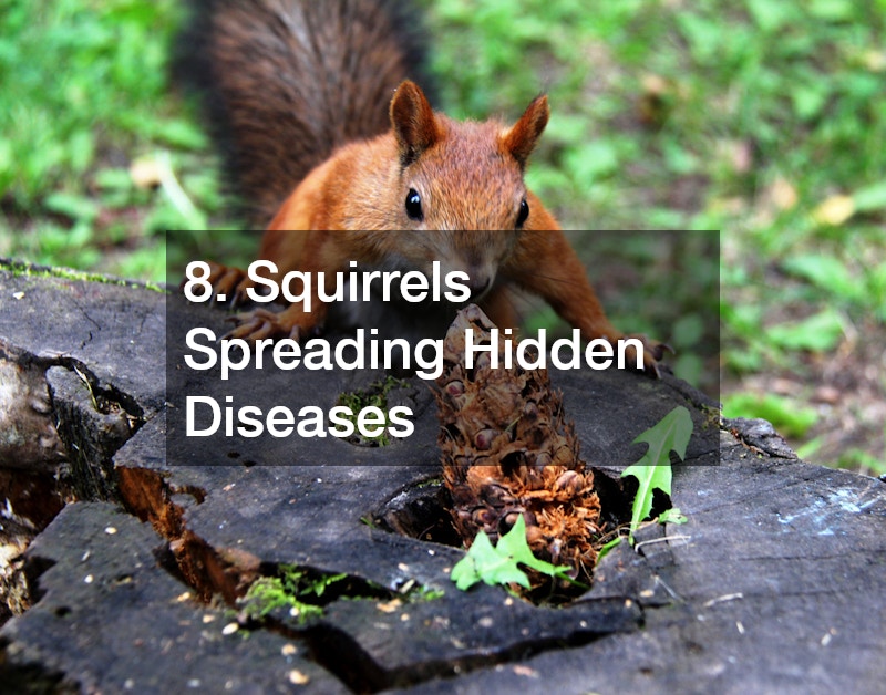 8. Squirrels Spreading Hidden Diseases