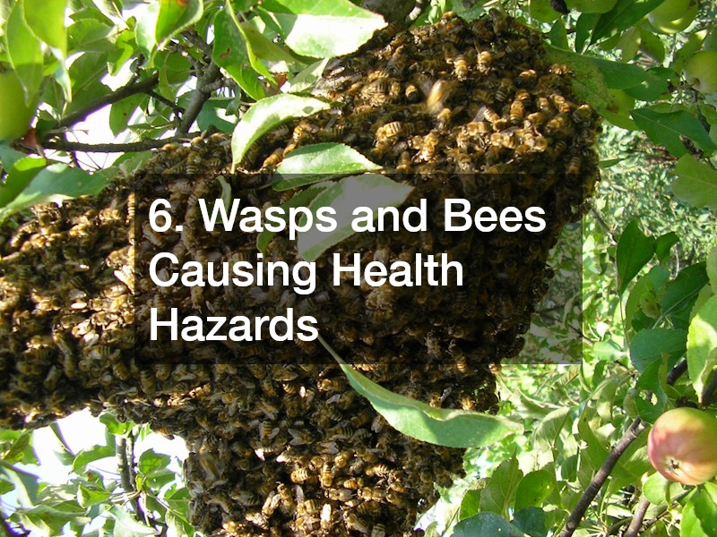 6. Wasps and Bees Causing Health Hazards