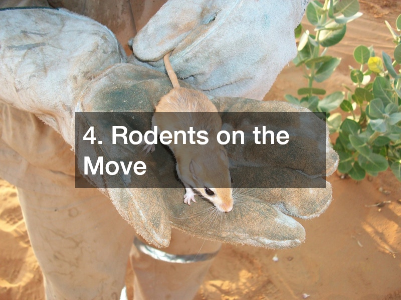 4. Rodents on the Move