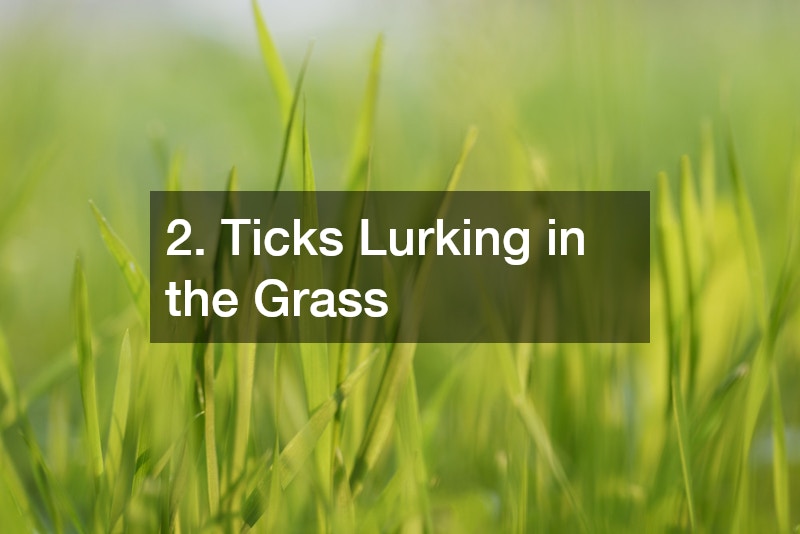 2. Ticks Lurking in the Grass