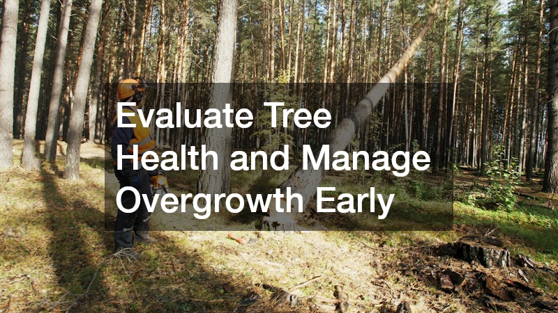 Evaluate Tree Health and Manage Overgrowth Early