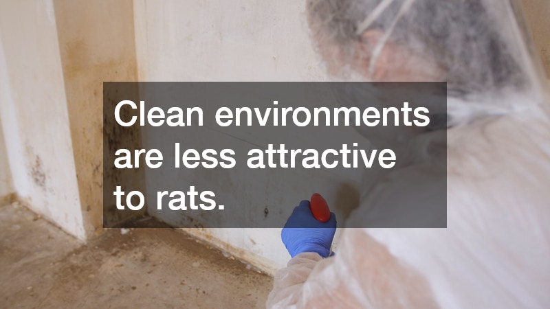 Clean environments are less attractive to rats.