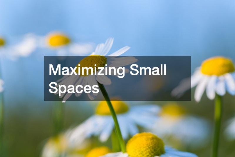 Maximizing Small Spaces