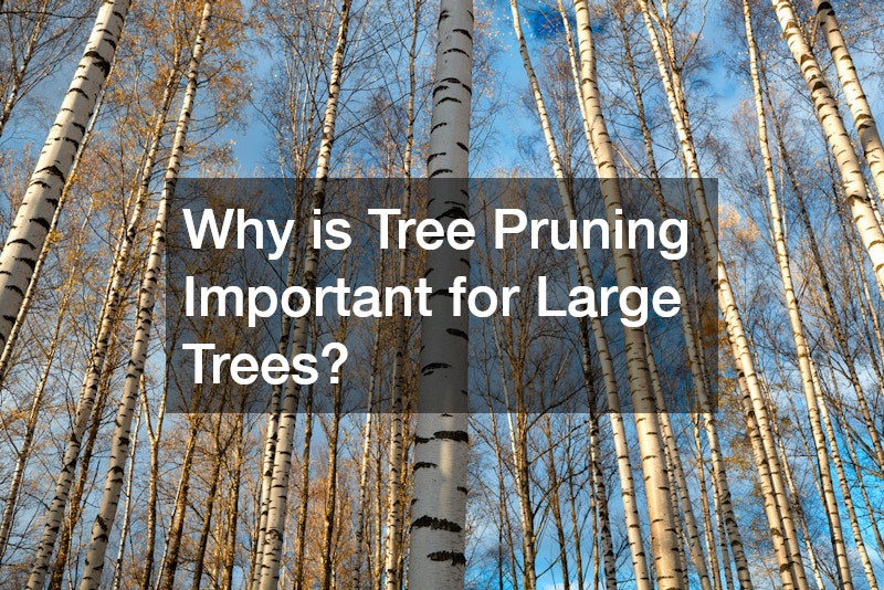 Why is Tree Pruning Important for Large Trees?