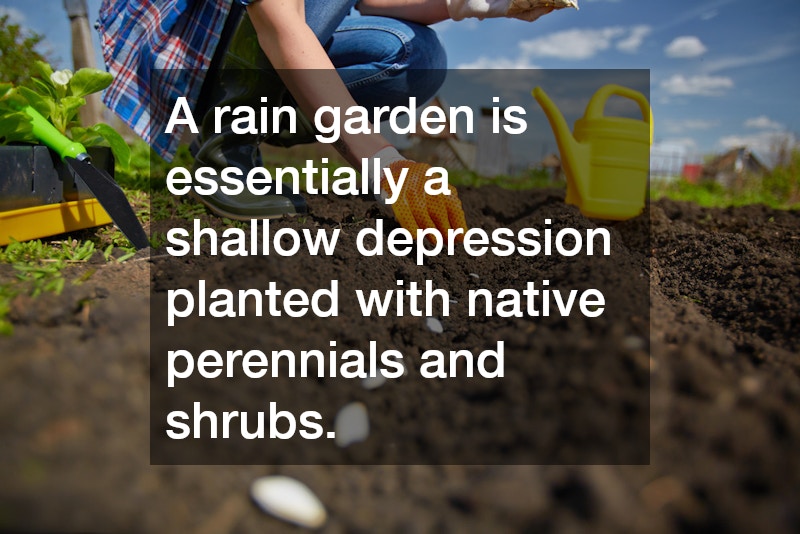 A rain garden is essentially a shallow depression planted with native perennials and shrubs.