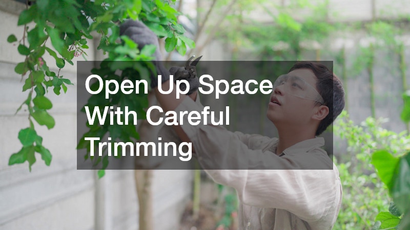 Open Up Space With Careful Trimming