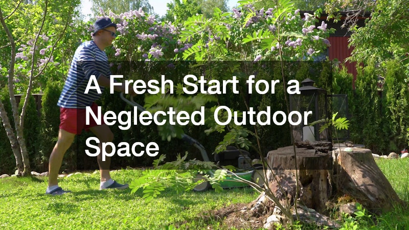 A Fresh Start for a Neglected Outdoor Space