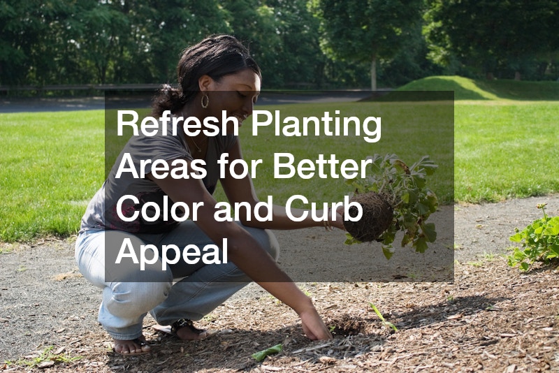 Refresh Planting Areas for Better Color and Curb Appeal