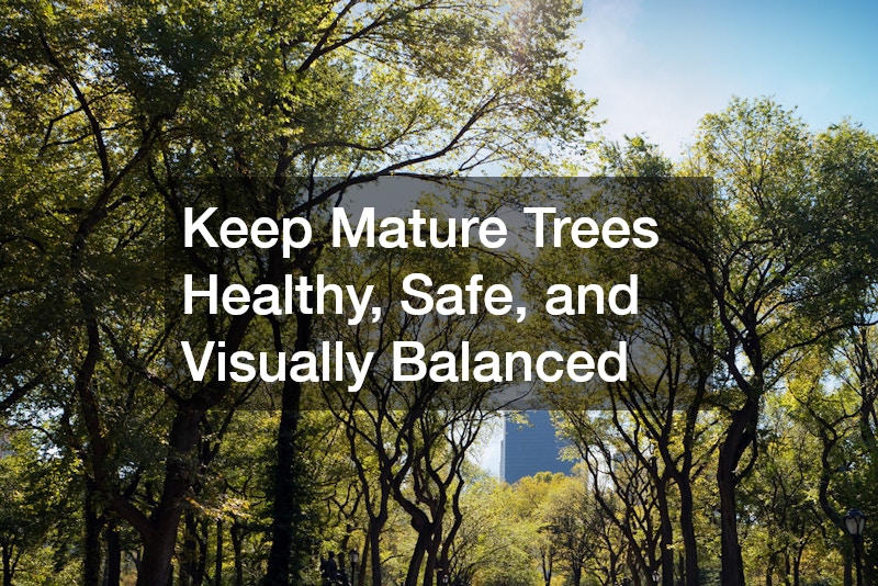 Keep Mature Trees Healthy, Safe, and Visually Balanced