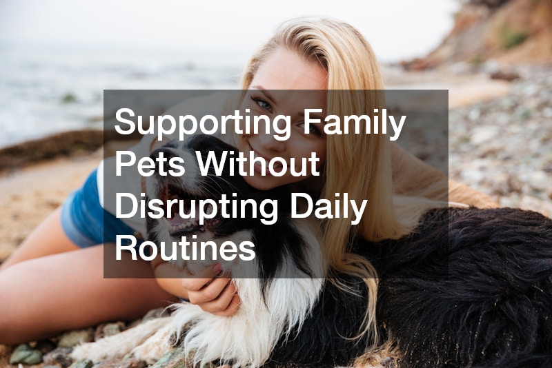 Supporting Family Pets Without Disrupting Daily Routines