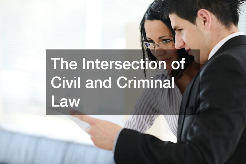 The Intersection of Civil and Criminal Law