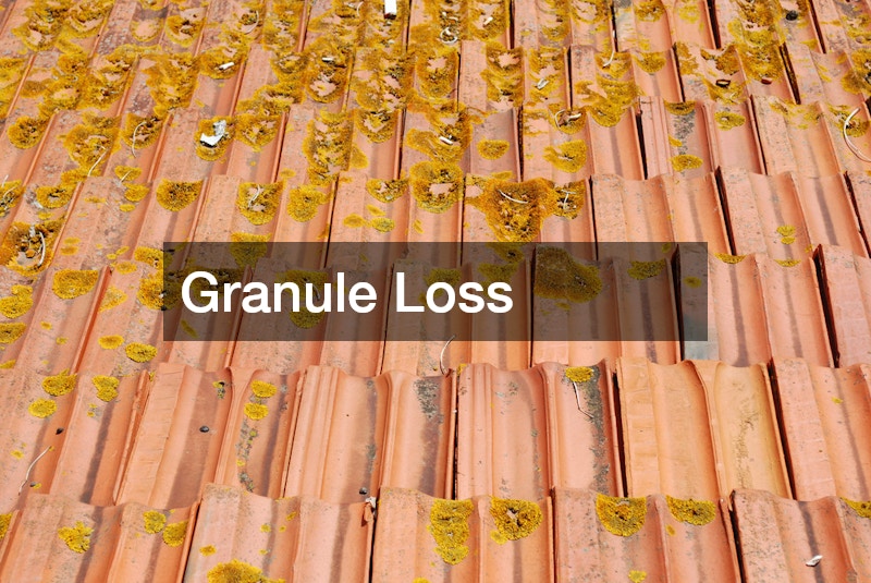 Granule Loss