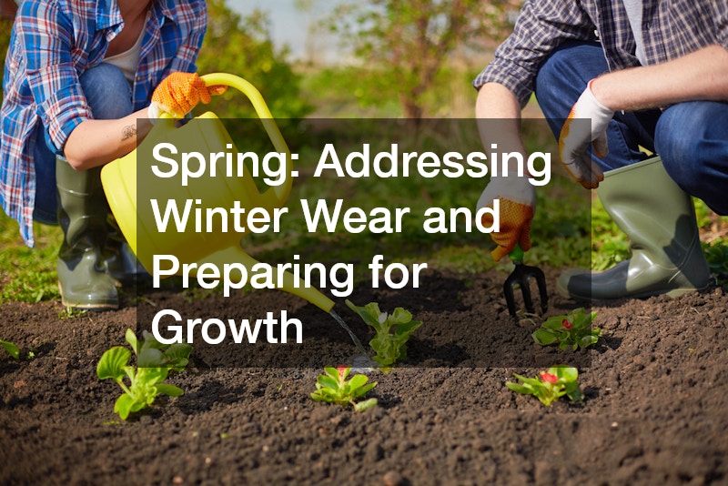Spring: Addressing Winter Wear and Preparing for Growth