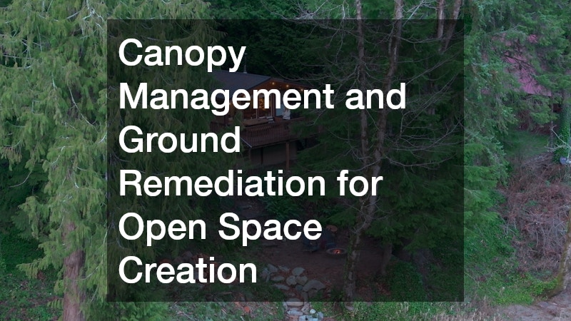 Canopy Management and Ground Remediation for Open Space Creation