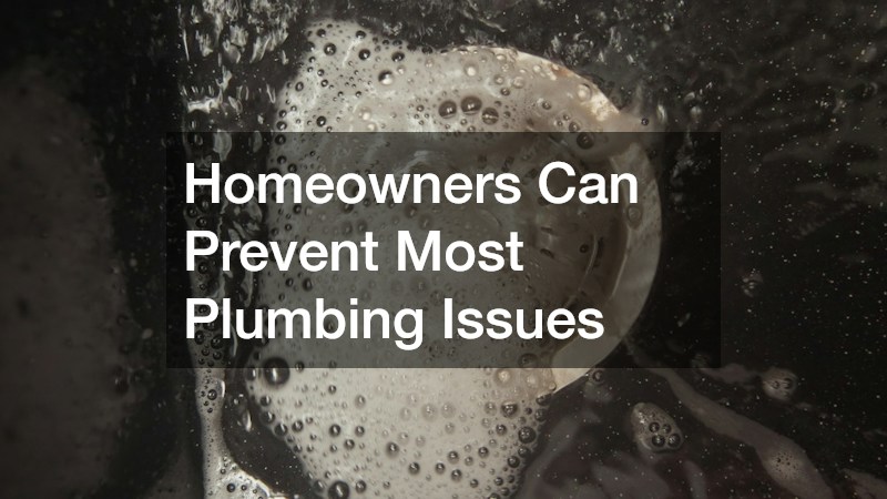 Homeowners Can Prevent Most Plumbing Issues