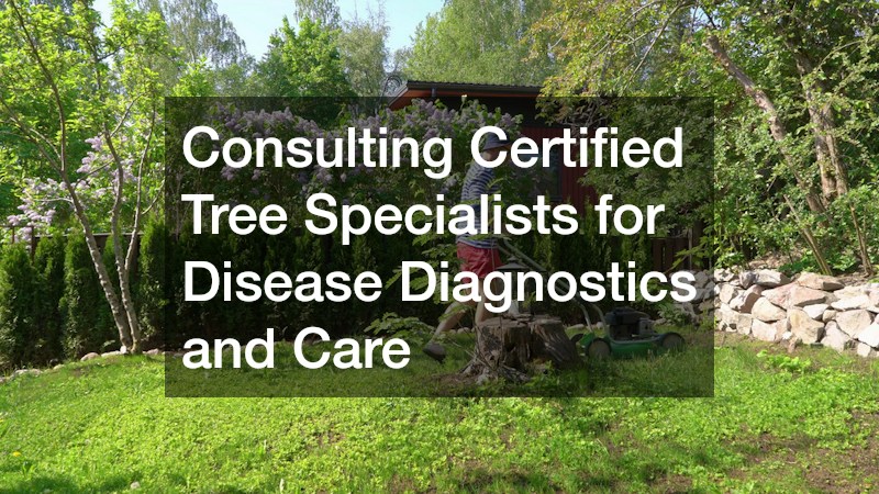 Consulting Certified Tree Specialists for Disease Diagnostics and Care