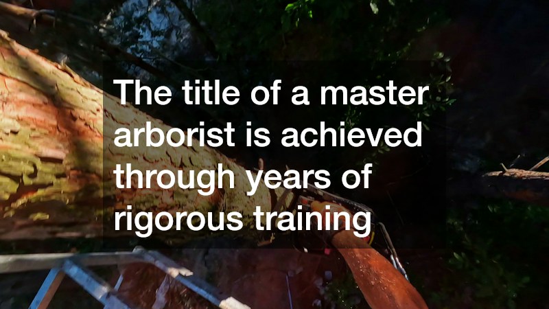 The title of a master arborist is achieved through years of rigorous training
