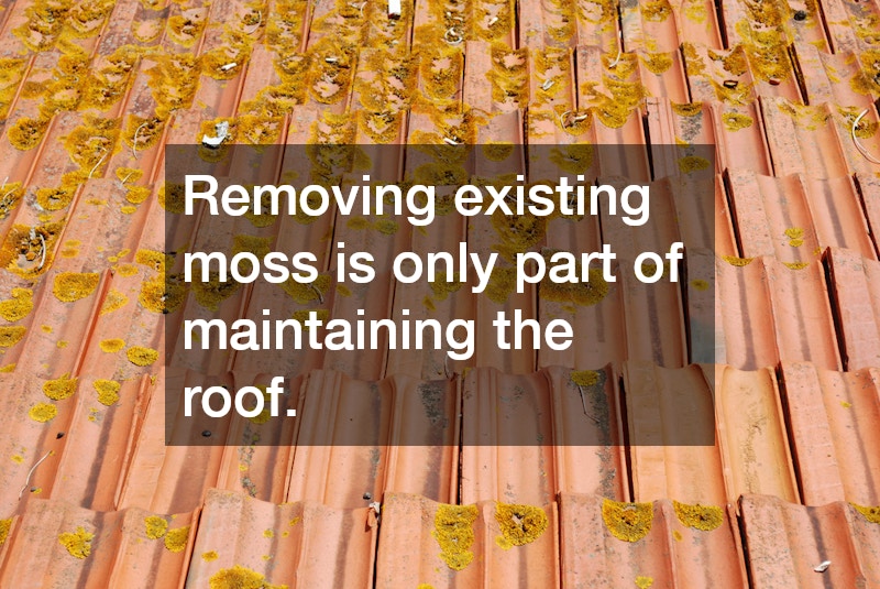 Removing existing moss is only part of maintaining the roof.