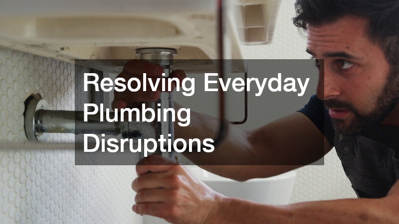 Resolving Everyday Plumbing Disruptions