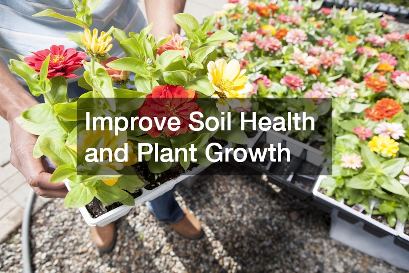 Improve Soil Health and Plant Growth