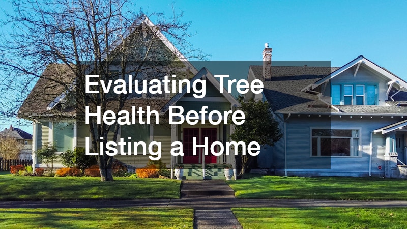 Evaluating Tree Health Before Listing a Home