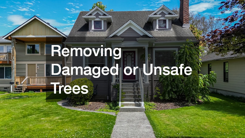 Removing Damaged or Unsafe Trees