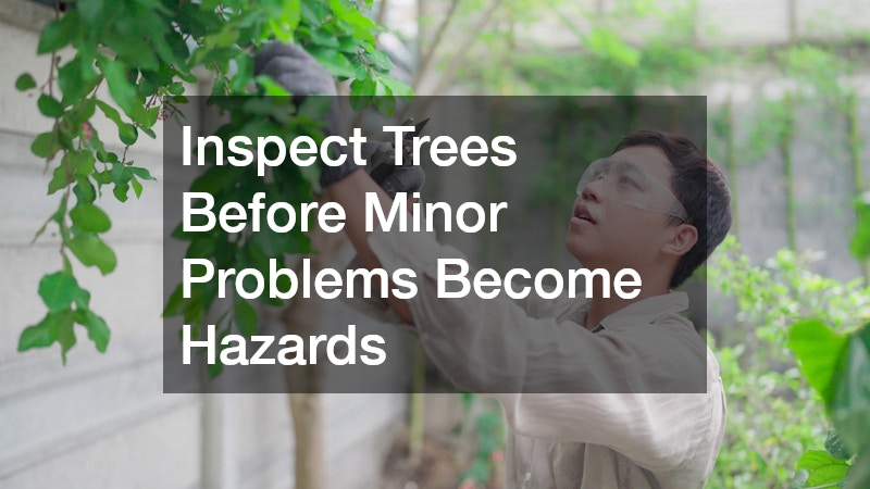 Inspect Trees Before Minor Problems Become Hazards