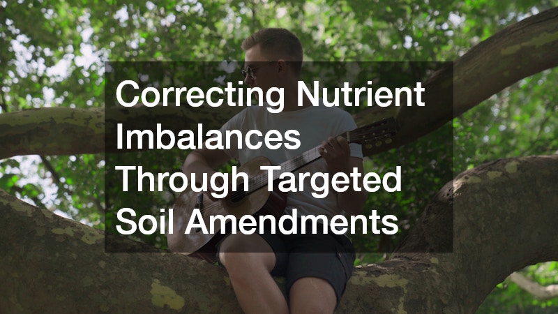 Correcting Nutrient Imbalances Through Targeted Soil Amendments