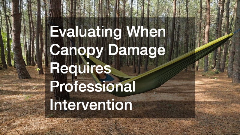 Evaluating When Canopy Damage Requires Professional Intervention