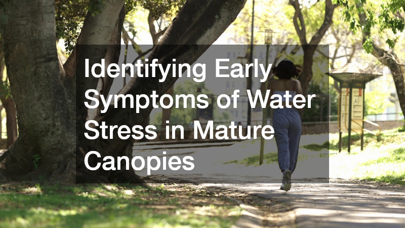 Identifying Early Symptoms of Water Stress in Mature Canopies