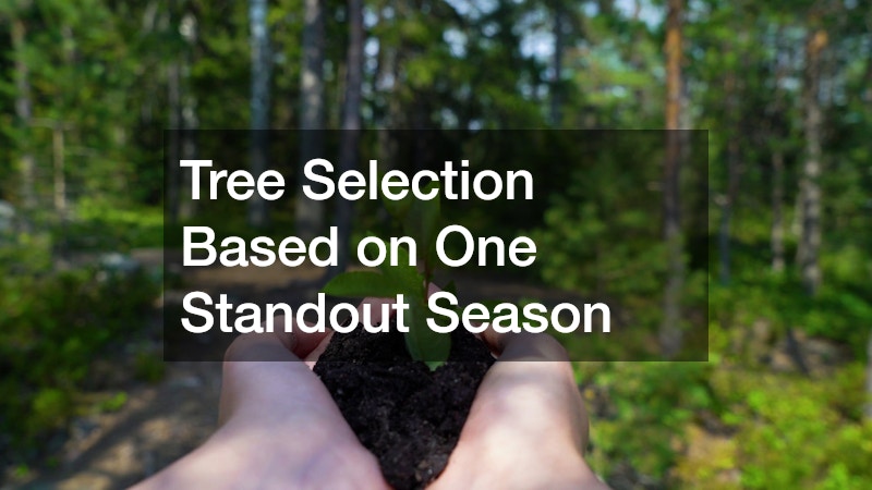 Tree Selection Based on One Standout Season