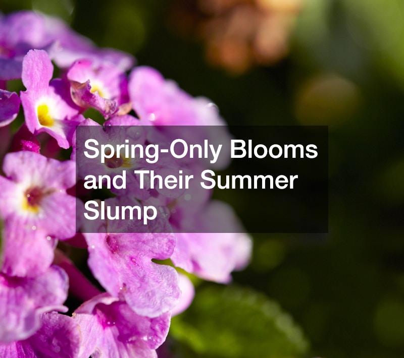 Spring-Only Blooms and Their Summer Slump