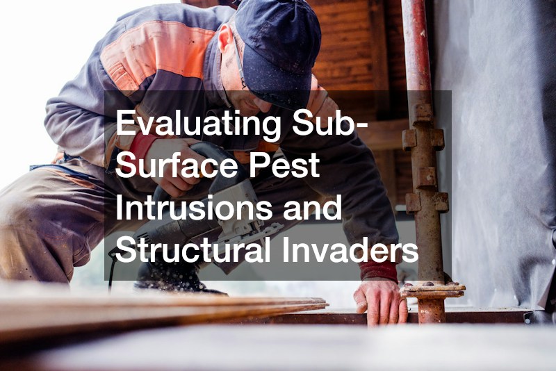 Evaluating Sub-Surface Pest Intrusions and Structural Invaders