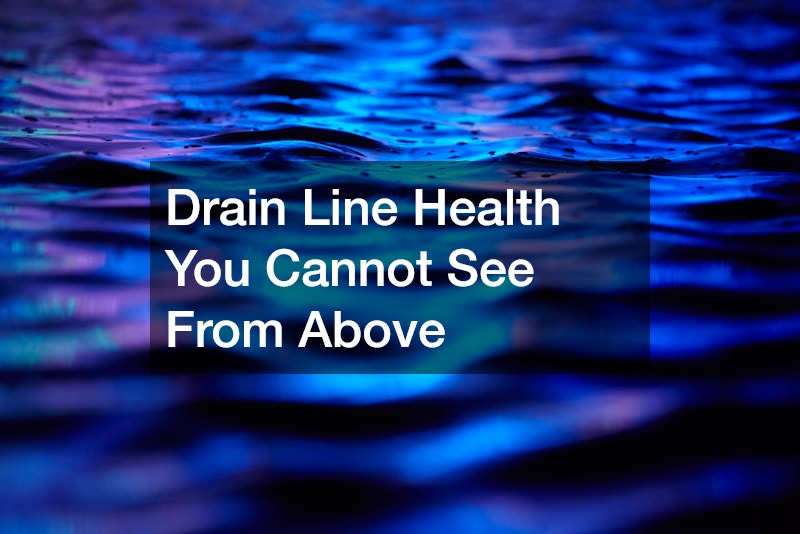 Drain Line Health You Cannot See From Above