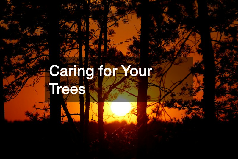 Caring for Your Trees