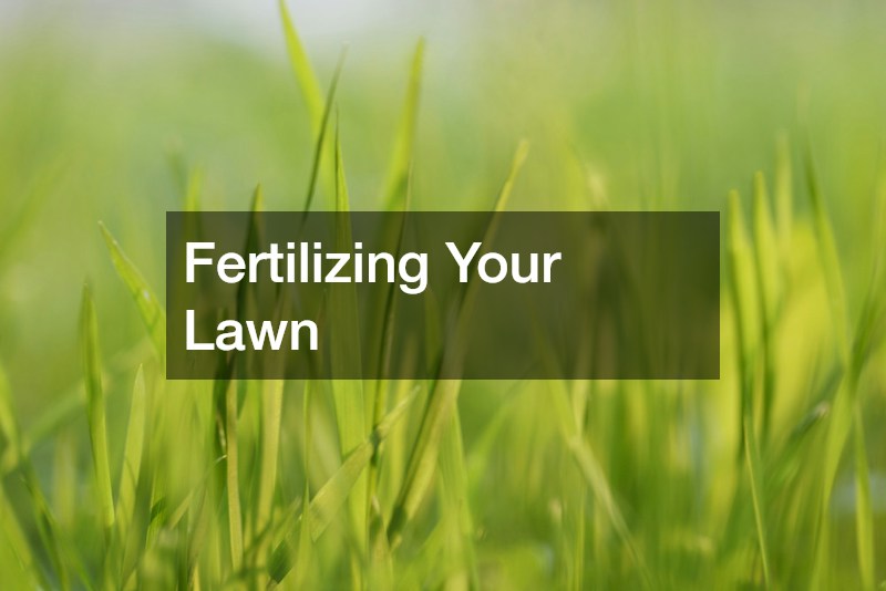 Fertilizing Your Lawn
