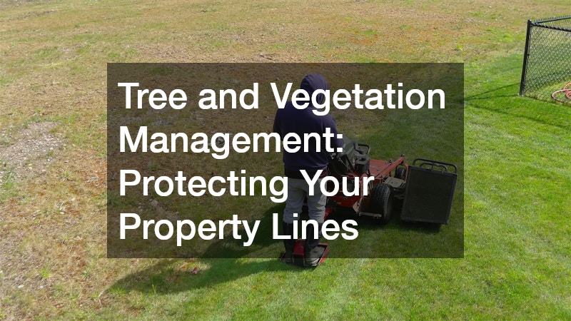 Tree and Vegetation Management: Protecting Your Property Lines