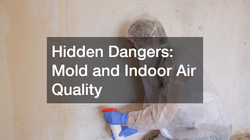 Hidden Dangers: Mold and Indoor Air Quality