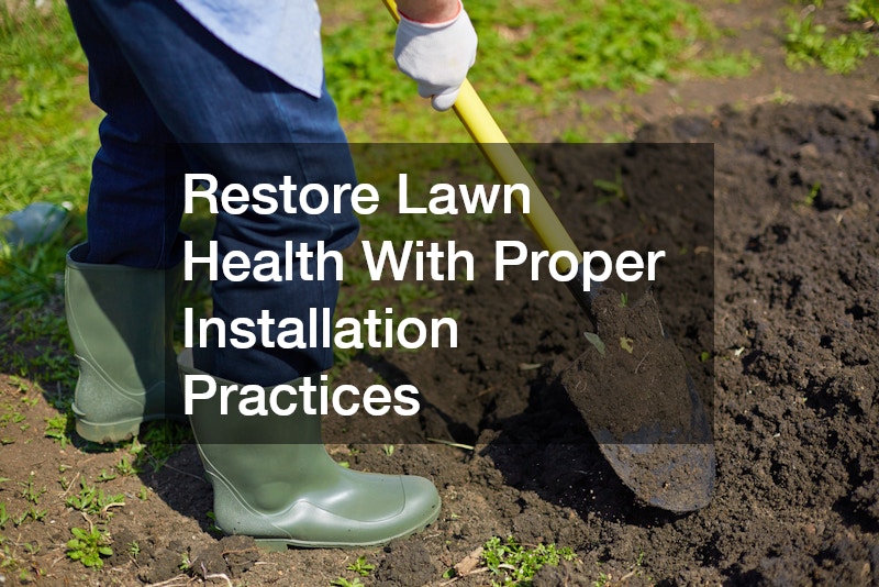 Restore Lawn Health With Proper Installation Practices