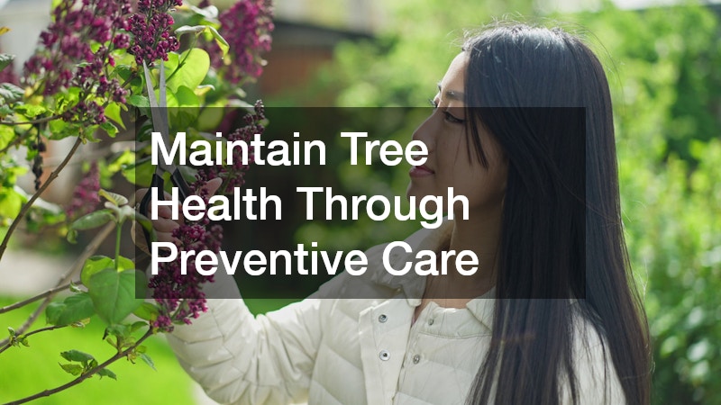 Maintain Tree Health Through Preventive Care